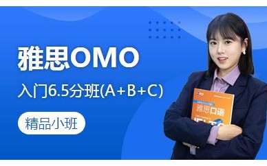 雅思入门课程培训 北京新航道雅思OMO入门6.5分班(A+B+C）