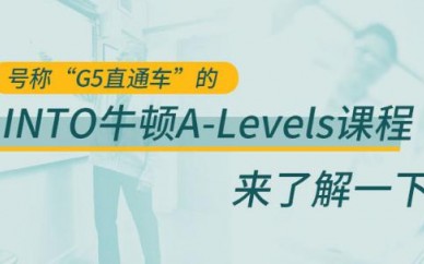 广州ALevels课程培训咨询（INTO牛顿A-Levels课程）