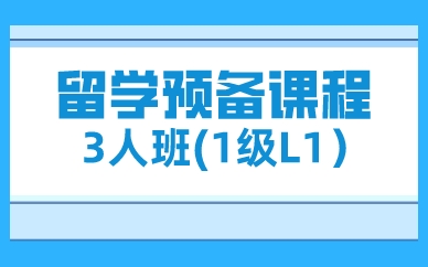 北京新航道留学预备课程3人班(1级L1）